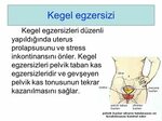 PELVİK ORGAN PROLAPSUSLARI - ppt indir